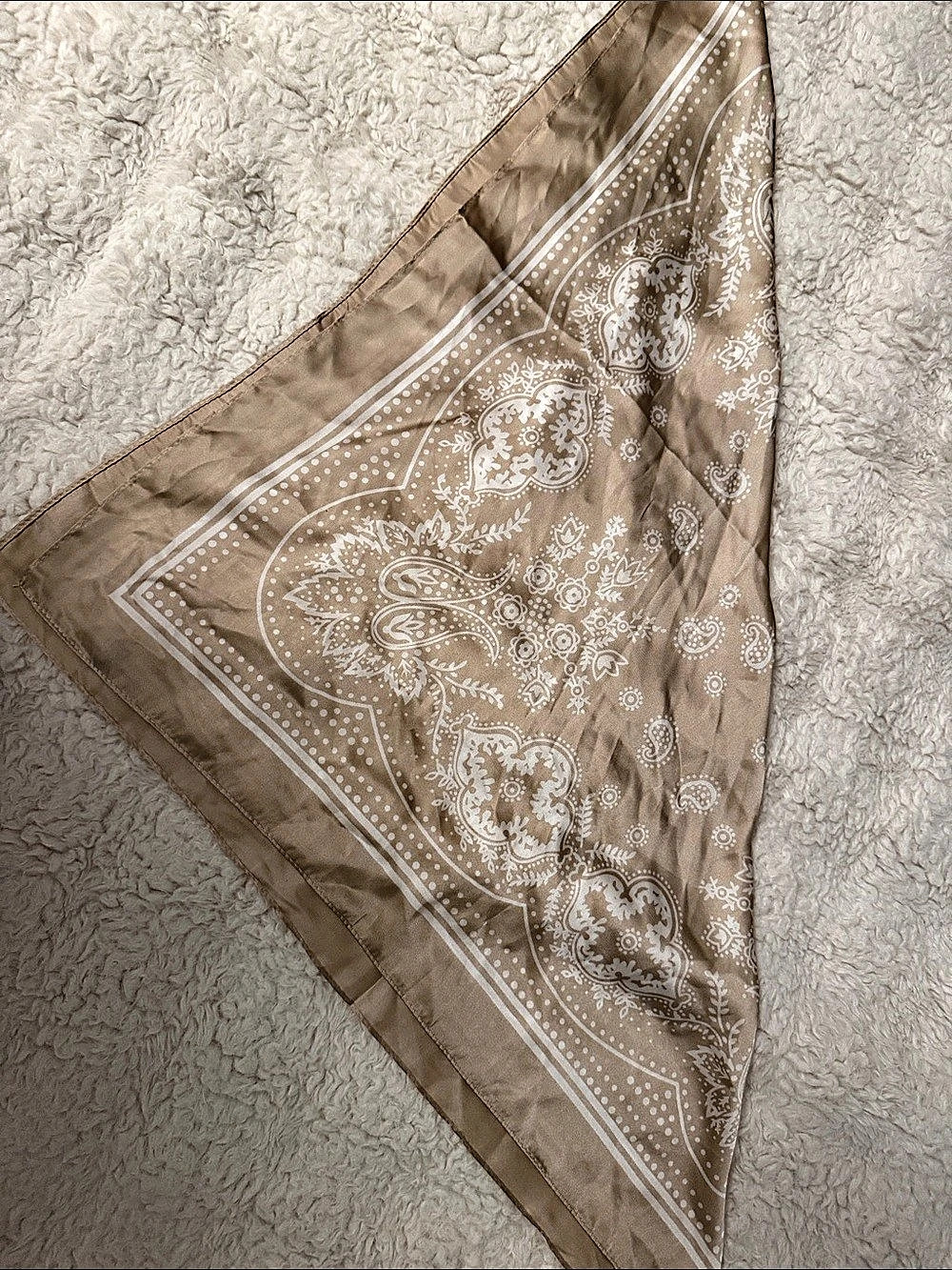 Paisley Scarf